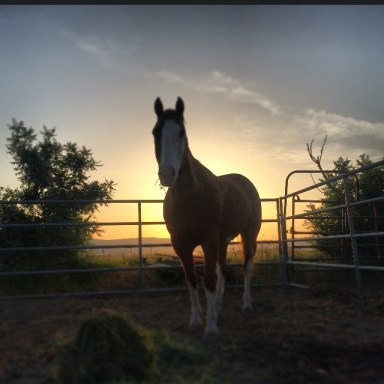 10173565_10203892468536547_6650411374466403385_n