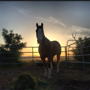 10173565_10203892468536547_6650411374466403385_n