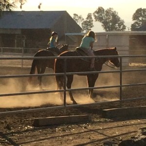 1507829_10202417311105686_2144312239_n